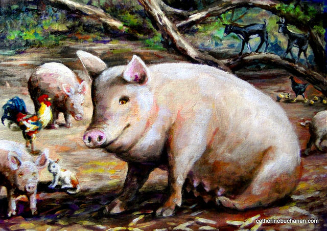 pig-farm-catherine-buchanan